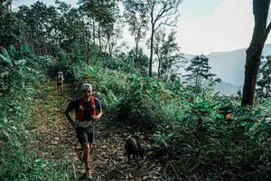 BIB: 
                            <button type="button" onclick="openModal(25656477)" class="btn btn-primary btn-sm float-right btn-popup" data-toggle="modal" data-target=".modal-high-quality">
                        <i class="fas fa-shopping-cart"></i> Add to Cart
                    </button>
                                            <button type="button" onclick="isThisMe(25656477, true)" class="btn btn-success btn-sm float-right btn-popup btn-isme hidden" data-toggle="tooltip" data-placement="bottom" title="นี่คือรูปของคุณใช่ไหม คลิกที่นี่เพื่อเอาเข้าอัลบั้ม">
                        <i class="fas fa-plus"></i> Add to album
                    </button>
                    <button type="button" onclick="isThisMe(25656477, false)" class="btn btn-warning btn-sm float-right btn-popup btn-isnotme hidden">
                        <i class="fas fa-ban"></i> Remove from album
                    </button>